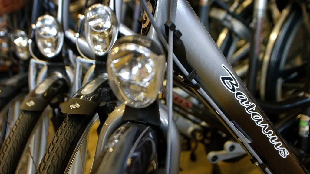 Another Bankruptcy for Batavus and Sparta — Will There Be a Bailout Again?